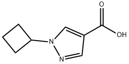 1-环丁基-1H-吡唑-4-羧酸结构式