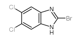2-溴-5,6-氯-1H-苯并咪唑结构式