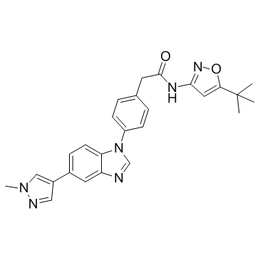 Pz-1 Structure