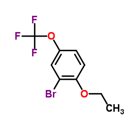2-Bromo-1-ethoxy-4-(trifluoromethoxy)benzene picture