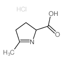 2H-Pyrrole-2-carboxylicacid, 3,4-dihydro-5-methyl-, hydrochloride (1:1)结构式