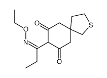 8-(N-ethoxy-C-ethylcarbonimidoyl)-2-thiaspiro[4.5]decane-7,9-dione Structure