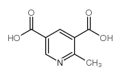 2-Methylpyridine-3,5-dicarboxylic Acid Structure