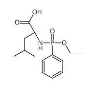 (2S)-2-[[ethoxy(phenyl)phosphoryl]amino]-4-methylpentanoic acid Structure