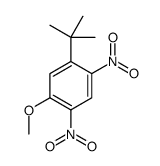 1-tert-butyl-5-methoxy-2,4-dinitrobenzene Structure