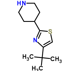 4-[4-(2-Methyl-2-propanyl)-1,3-thiazol-2-yl]piperidine结构式