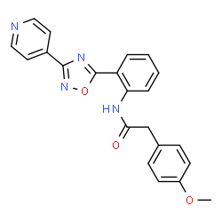 2-(4-methoxyphenyl)-N-{2-[3-(pyridin-4-yl)-1,2,4-oxadiazol-5-yl]phenyl}acetamide picture