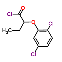 2-(2,5-Dichlorophenoxy)butanoyl chloride picture