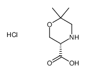 (S)-6, 6-二甲基吗啉-3-羧酸盐酸盐结构式