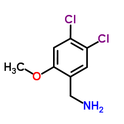 1-(4,5-Dichloro-2-methoxyphenyl)methanamine结构式