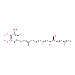 IT-143B Structure