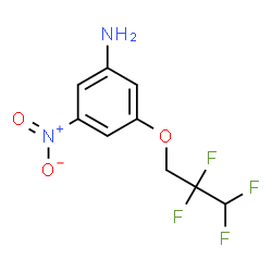 3-NITRO-5-(2,2,3,3-TETRAFLUORO-PROPOXY)-PHENYLAMINE structure