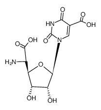 5-Amino-1-[5-carboxy-3,4-dihydro-2,4-dioxopyrimidin-1(2H)-yl]-1,5-dideoxy-β-D-allofuranuronic acid structure