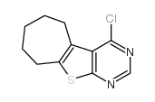 4-Chloro-6,7,8,9-tetrahydro-5H-cyclohepta[4,5]thieno[2,3-d]pyrimidine Structure