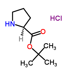tert-Butyl L-prolinate hydrochloride Structure