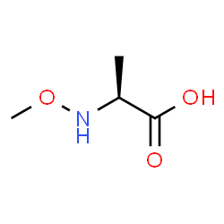 L-Alanine, N-methoxy- (9CI) Structure