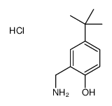 2-(aminomethyl)-4-tert-butylphenol,hydrochloride结构式