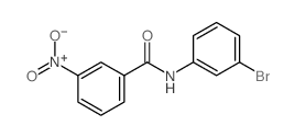 N-(3-Bromophenyl)-3-nitrobenzamide结构式