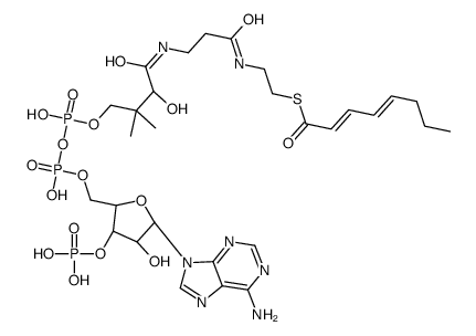 2-trans,4-trans-Octadienoyl-CoA picture