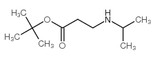 3-isopropylamino-propionic acid tert-butyl ester structure
