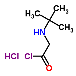 2-[(tert-Butyl)amino]acetyl chloride hydrochloride Structure