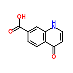 4-Oxo-1,4-dihydroquinoline-7-carboxylic acid picture