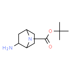 (+/-)-endo-7-Boc-7-azabicyclo[2.2.1]heptan-2-yl amine结构式