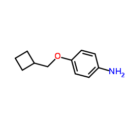 4-(Cyclobutylmethoxy)aniline structure