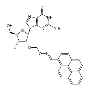 2'-O-(pyren-1-ylmethanimine-N-oxymethyl)guanosine Structure