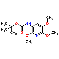 2-Methyl-2-propanyl (2,5,6-trimethoxy-3-pyridinyl)carbamate结构式