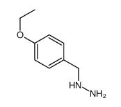 4-ETHOXY-BENZYL-HYDRAZINE Structure