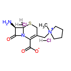 (r,r)-7-amino-3-(1-methylpyrrolidinio)methyl-3-cephem-4-carboxylate hcl picture