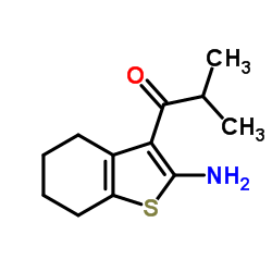 1-(2-氨基-4,5,6,7-四氢苯并[b]噻吩-3-基)-2-甲基丙烷-1-酮结构式