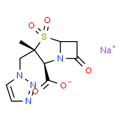 tazobactam picture