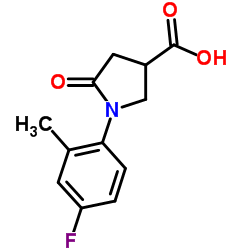 1-(4-Fluoro-2-methylphenyl)-5-oxo-3-pyrrolidinecarboxylic acid Structure