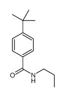 4-tert-butyl-N-propylbenzamide Structure