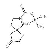 3-Oxo-1-Oxa-7-azaspiro[4.4]nonane-7-carboxylic acid tert-butyl ester picture