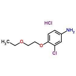 3-Chloro-4-(2-ethoxyethoxy)aniline hydrochloride (1:1)结构式