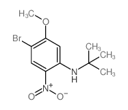 4-溴-N-叔丁基-5-甲氧基-2-硝基苯胺结构式
