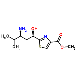 methyl 2-((1R,3S)-3-amino-1-hydroxy-4-methylpentyl)thiazole-4-carboxylate picture