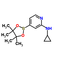 N-cyclopropyl-4-(4,4,5,5-tetramethyl-1,3,2-dioxaborolan-2-yl)pyridin-2-amine结构式