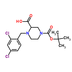 4-(2,4-Dichloro-benzyl)-piperazine-1,3-dicarboxylic acid 1-tert-butyl ester结构式