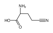 (2R)-2-amino-4-cyanobutanoic acid结构式