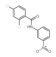 2,4-dichloro-N-(3-nitrophenyl)benzamide结构式