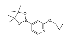 2-环丙氧基-4-(4,4,5,5-四甲基-1,3,2-二氧杂环戊硼烷-2-基)吡啶结构式