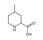 2-Piperidinecarboxylicacid,4-methyl-(9CI) picture