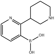 2-(Piperidin-3-yl)pyridine-3-boronic acid Structure