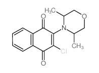 1,4-Naphthalenedione,2-chloro-3-(3,5-dimethyl-4-morpholinyl)- structure