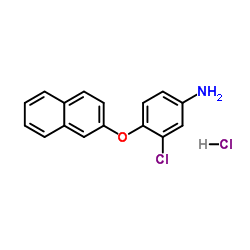 3-Chloro-4-(2-naphthyloxy)aniline hydrochloride (1:1)结构式