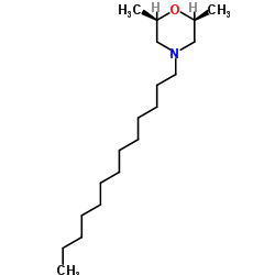 (2R,6S)-2,6-Dimethyl-4-tridecylmorpholine结构式